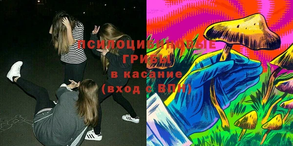 твердый Сосновый Бор