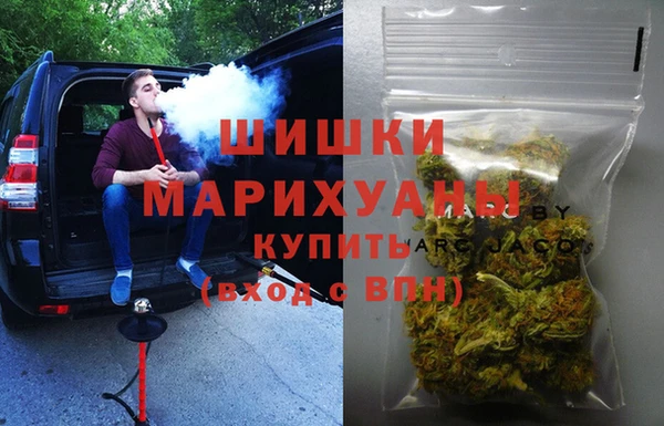 молекула духа Белокуриха