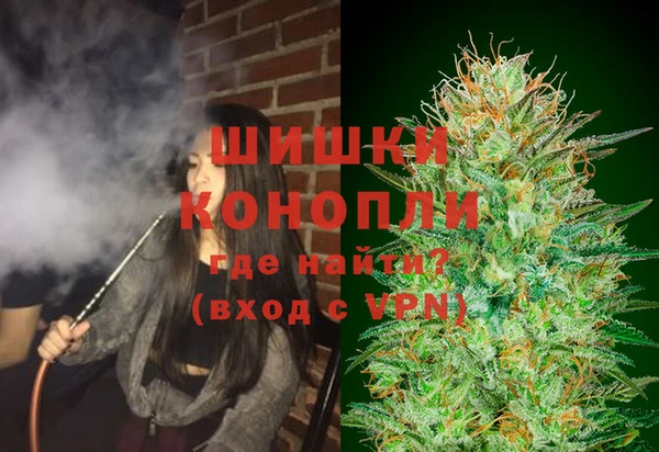 молекула духа Белокуриха